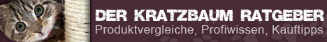 Katzenkratzbaum Ratgeber