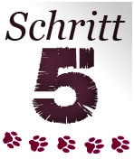Schritt5 - Katzenkratzbaum Ratgeber