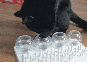 Futterbrett aus Katzenspielzeug